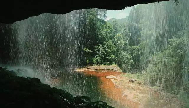 组装机械恐龙3