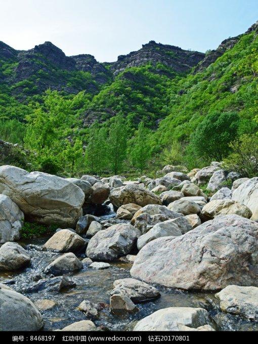 逃离粉红岛